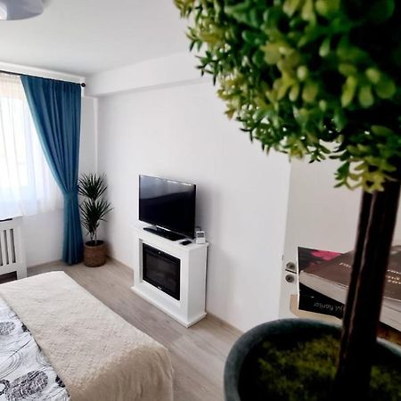 Cozy Studio Brasov Exterior photo