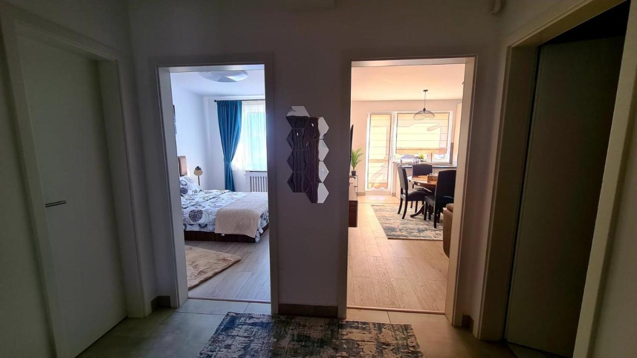 Cozy Studio Brasov Exterior photo