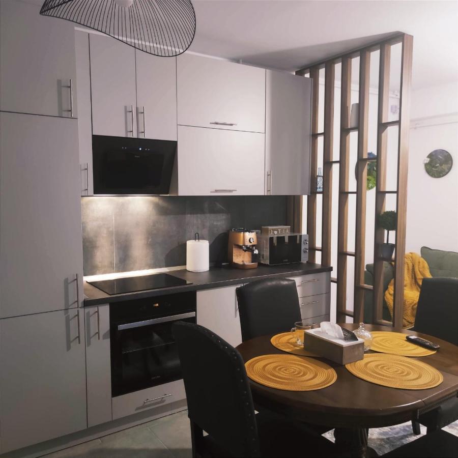 Cozy Studio Brasov Exterior photo