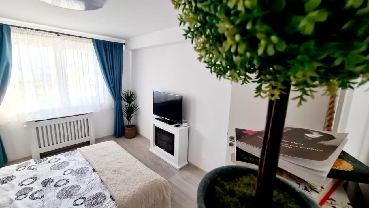 Cozy Studio Brasov Exterior photo
